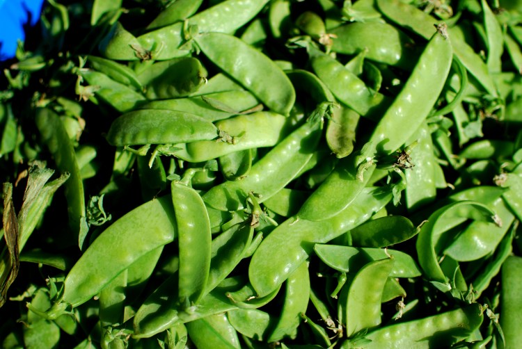 Snap Peas